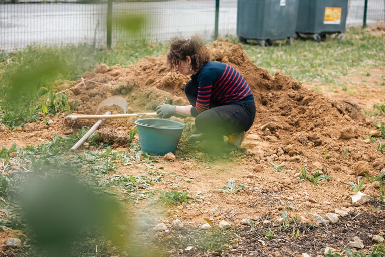 Lire la suite à propos de l’article Chantiers / retour en images